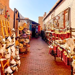 Meet your Posher, Reagan